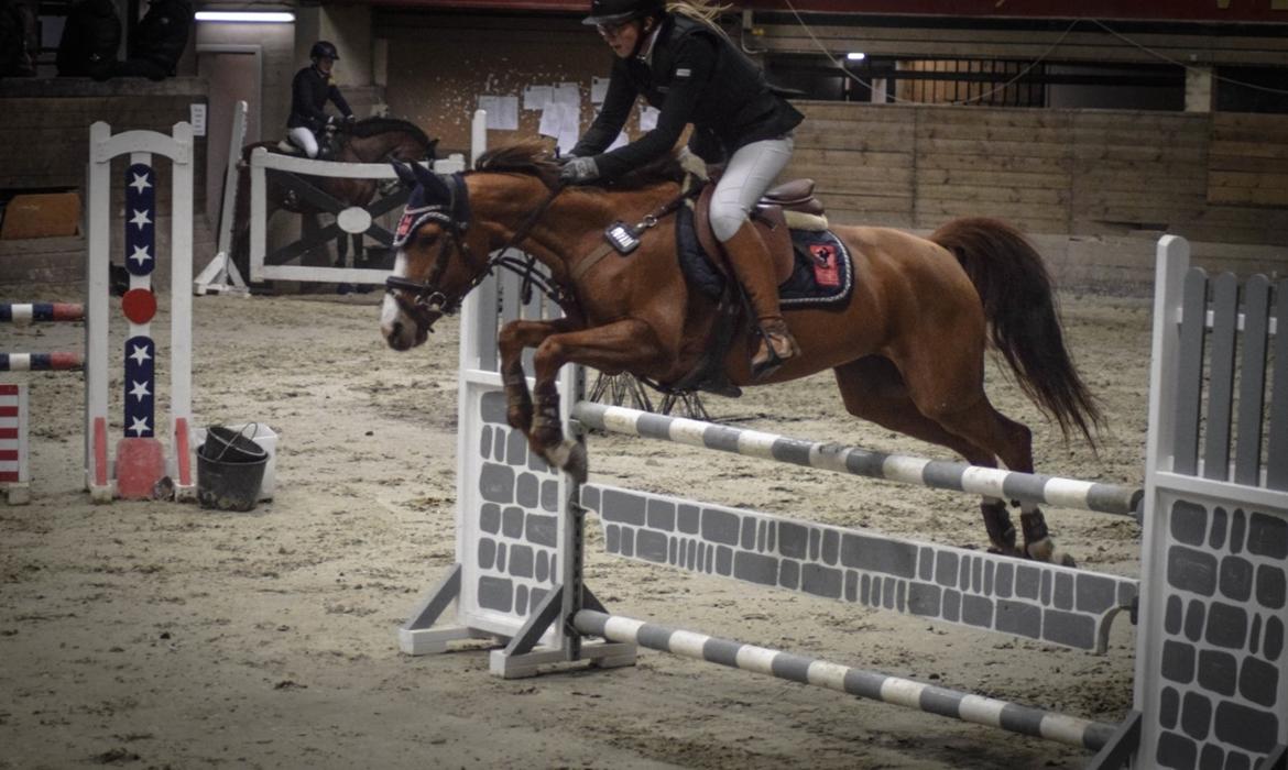 DSP Hedemand's kiare billede 13