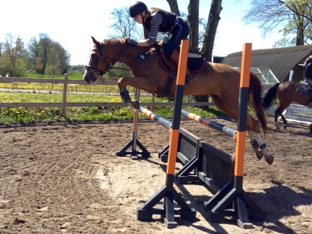 DSP Hedemand's kiare billede 14