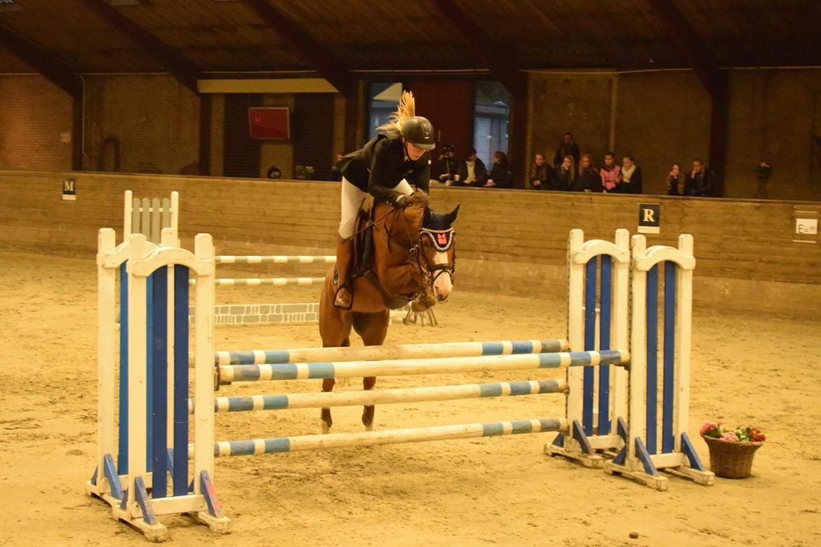 DSP Hedemand's kiare billede 15