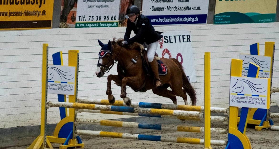 DSP Hedemand's kiare billede 16