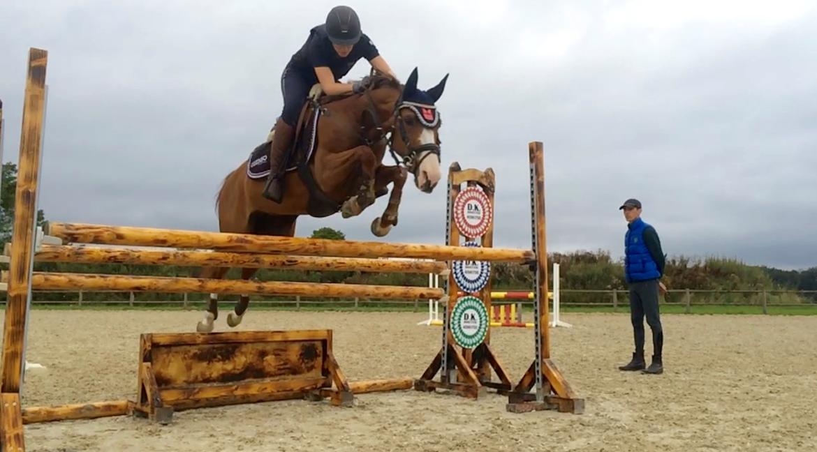 DSP Hedemand's kiare billede 18