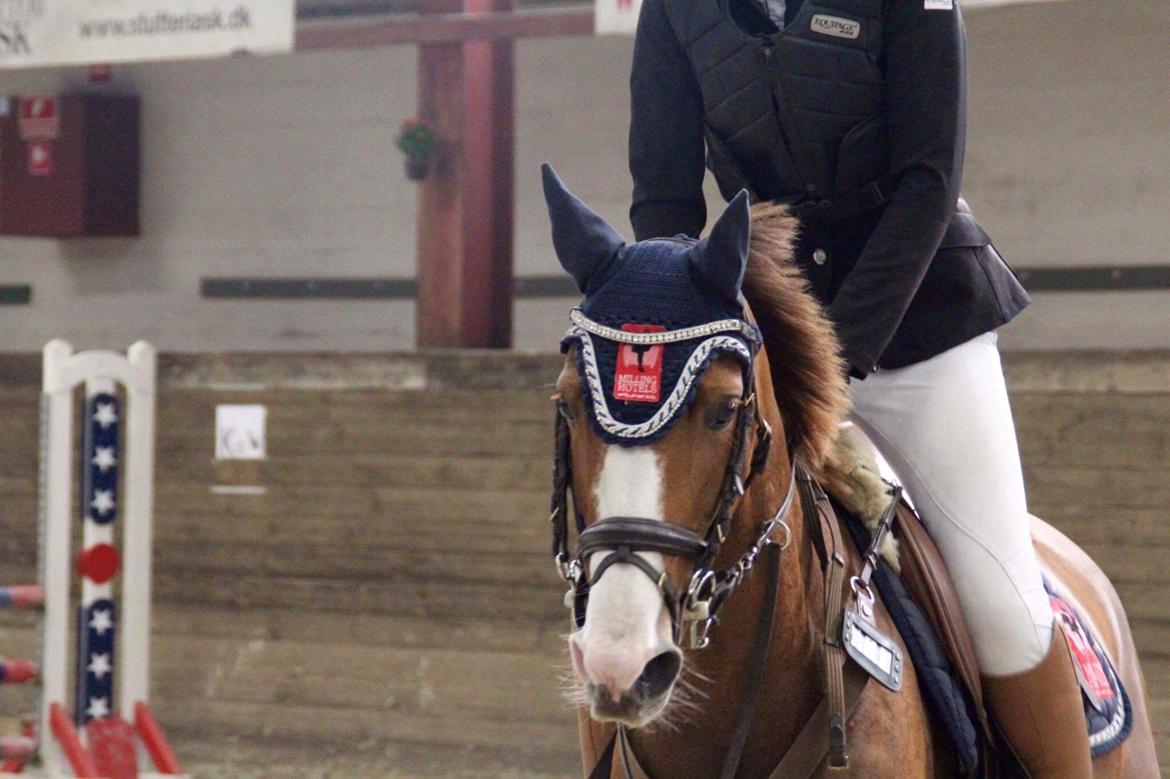 DSP Hedemand's kiare billede 19