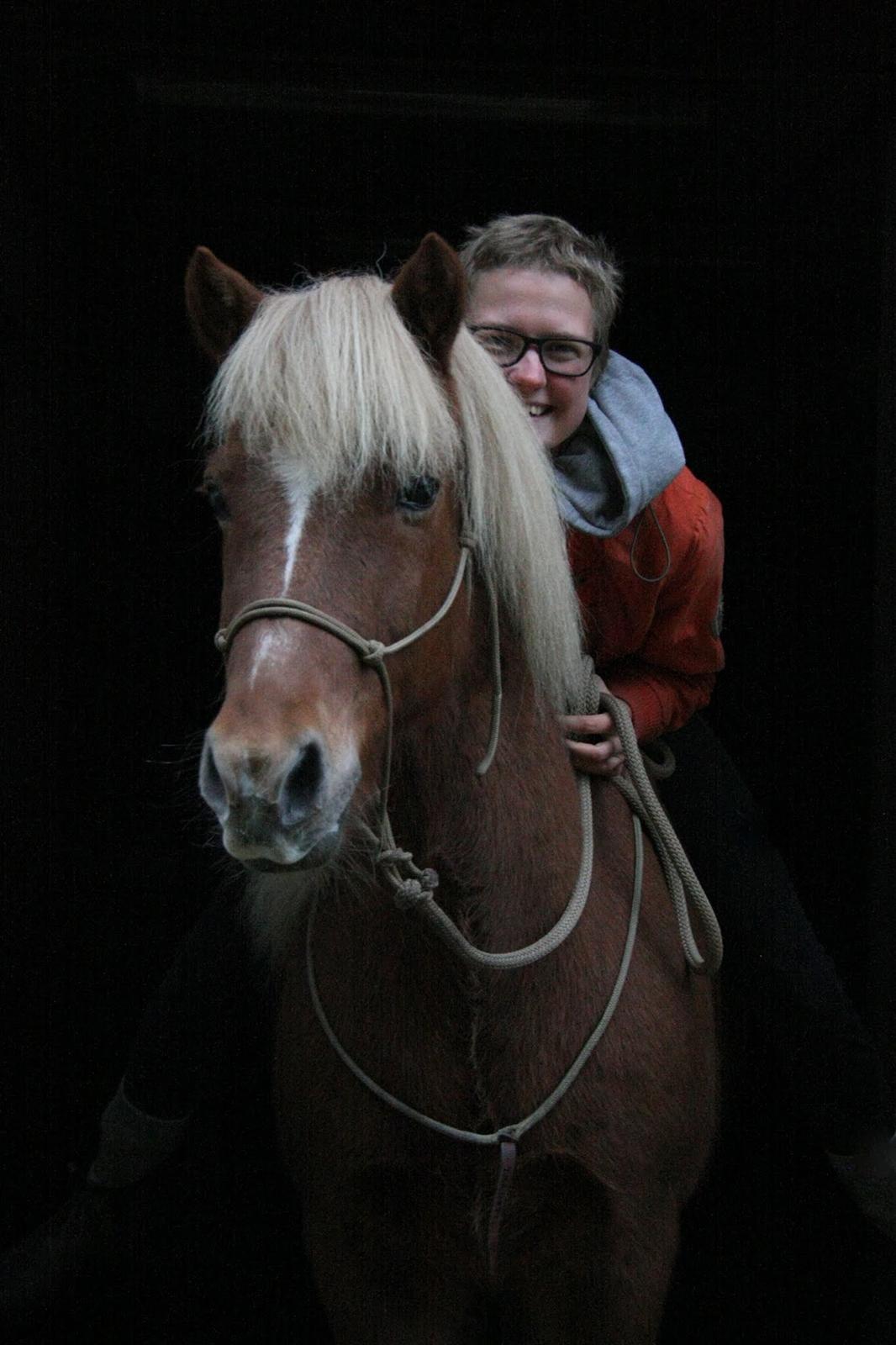 Islænder Trausti fra Gingsholm<3 - "All the kingdom light shined just for me and you" <3 Foto: AJM Foto 19.10.2016 billede 2