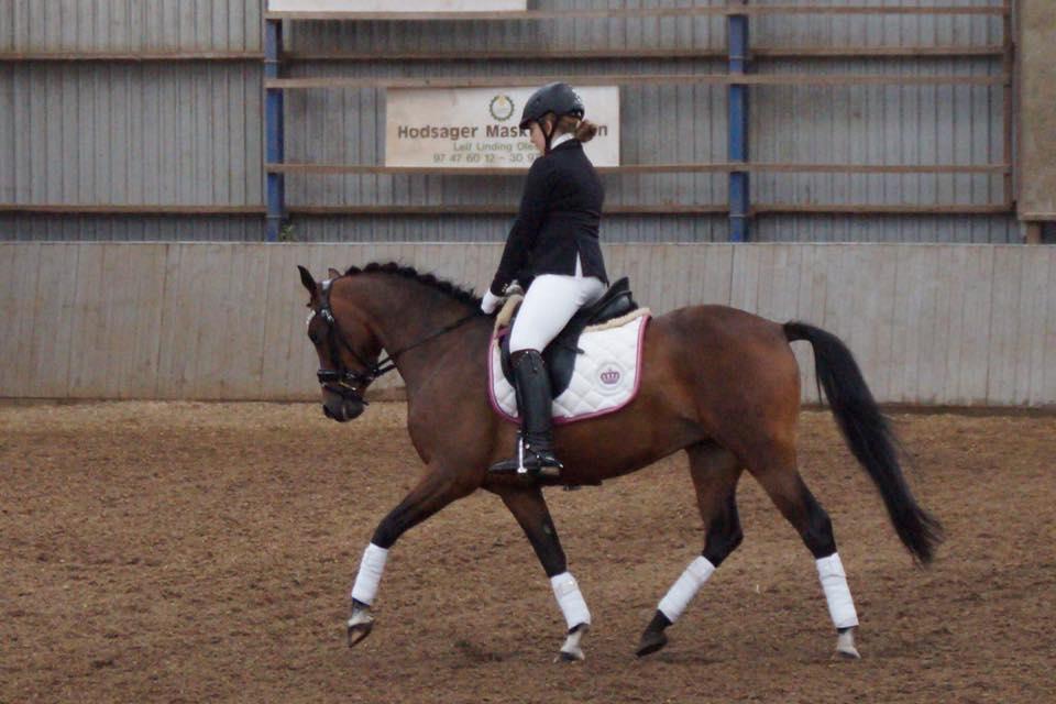 DSP Nagengaards lady madonna - men kan vel hvise sig fra sin gode side billede 6