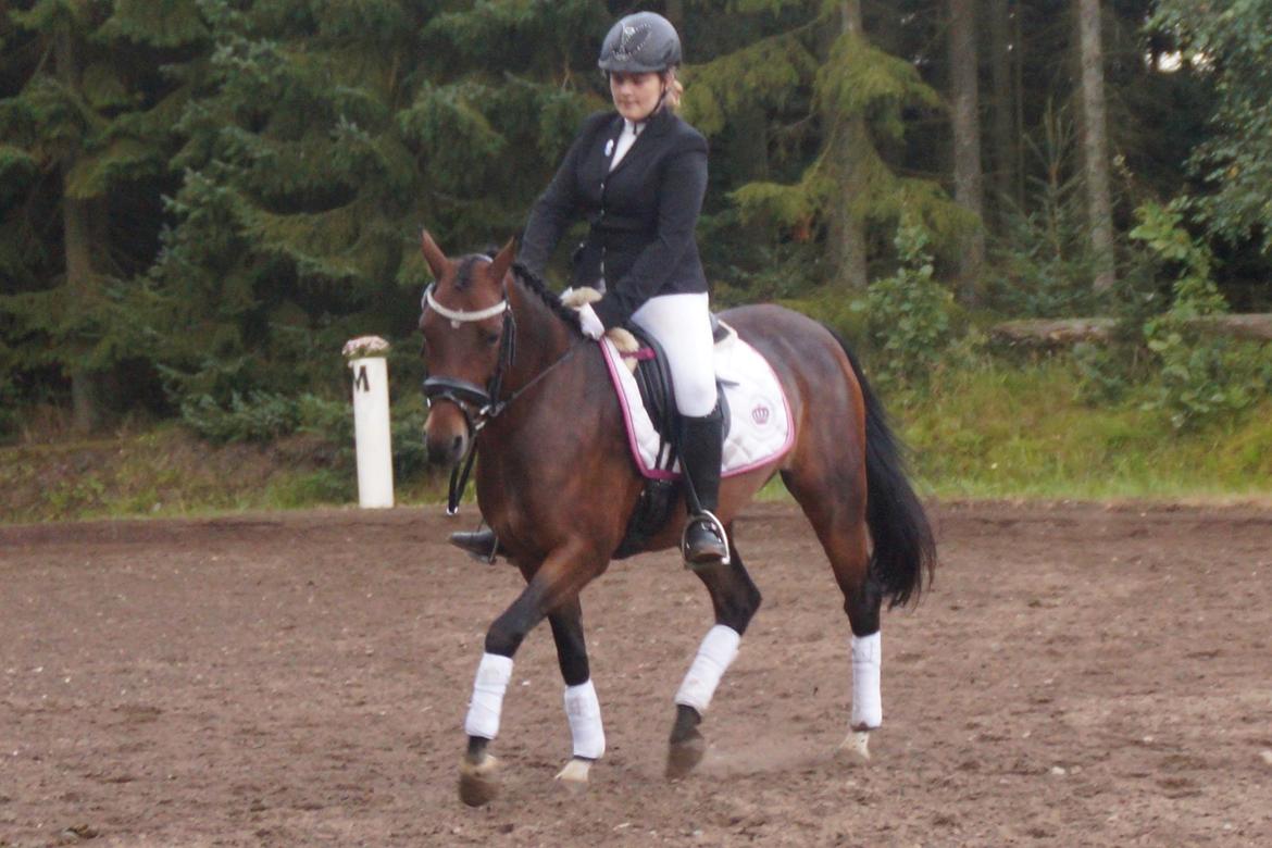 DSP Nagengaards lady madonna - man kan vel hvise sig fra sin gode side billede 7