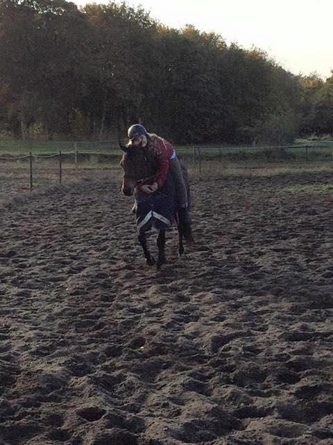 DSP Nagengaards lady madonna - hygge billede 9