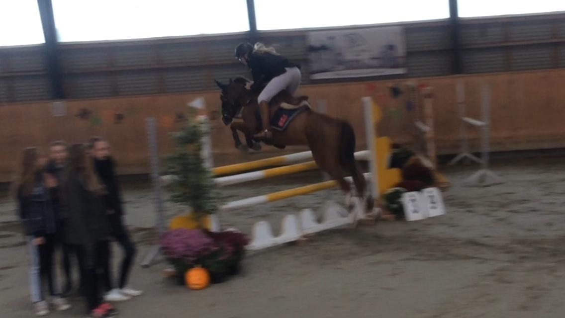 DSP Hedemand's kiare billede 17