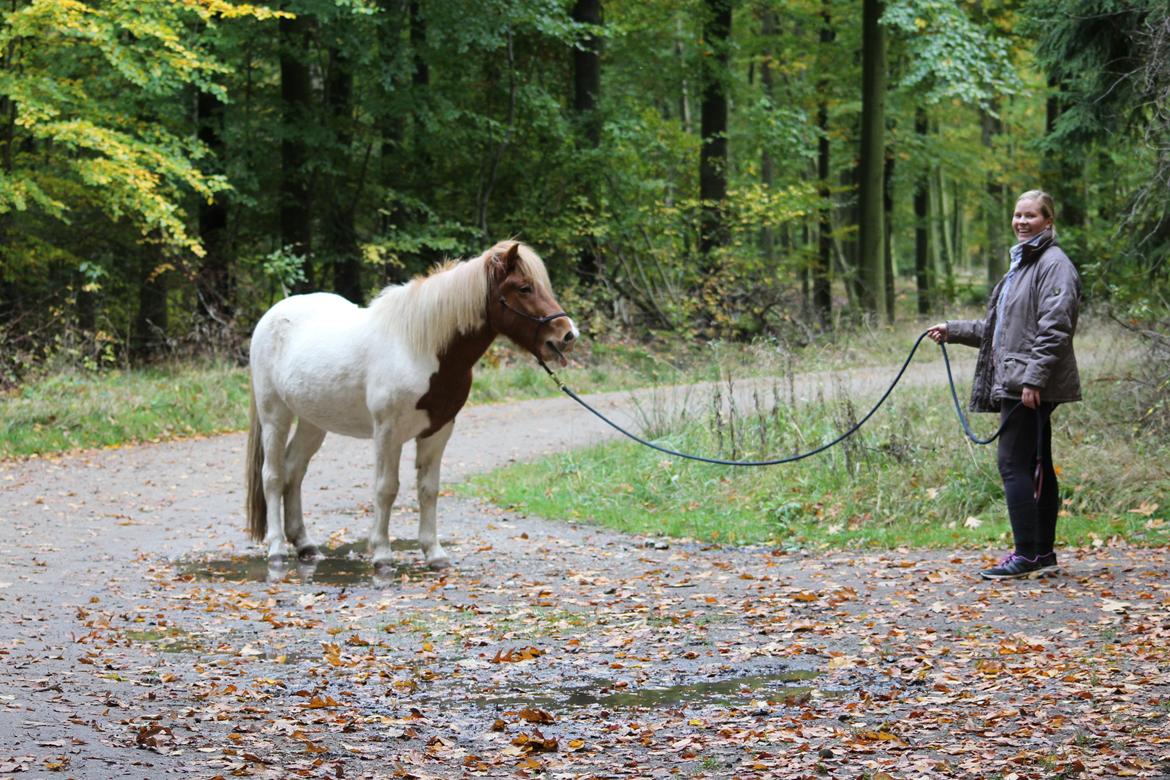 Islænder Drísill fra Cederborg - Drisill fortæller, at det er svært at bakke gennem vandpyt! billede 8