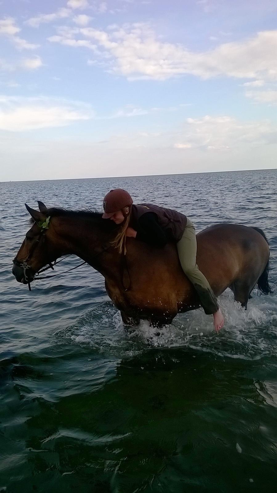 Anden særlig race Basse - Badeturn<3 billede 11