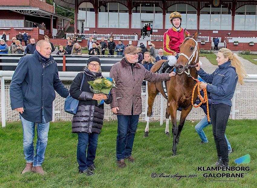 Fuldblod (XX) Fillip Stark - Vinder i Klampenborg d. 15/10-16 billede 7