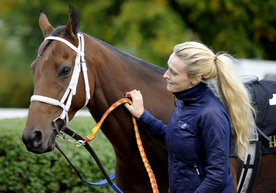 Fuldblod (XX) Fillip Stark - I paddocken d. 15/10-16 billede 1