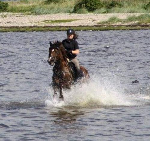 Anden særlig race Spirit billede 6
