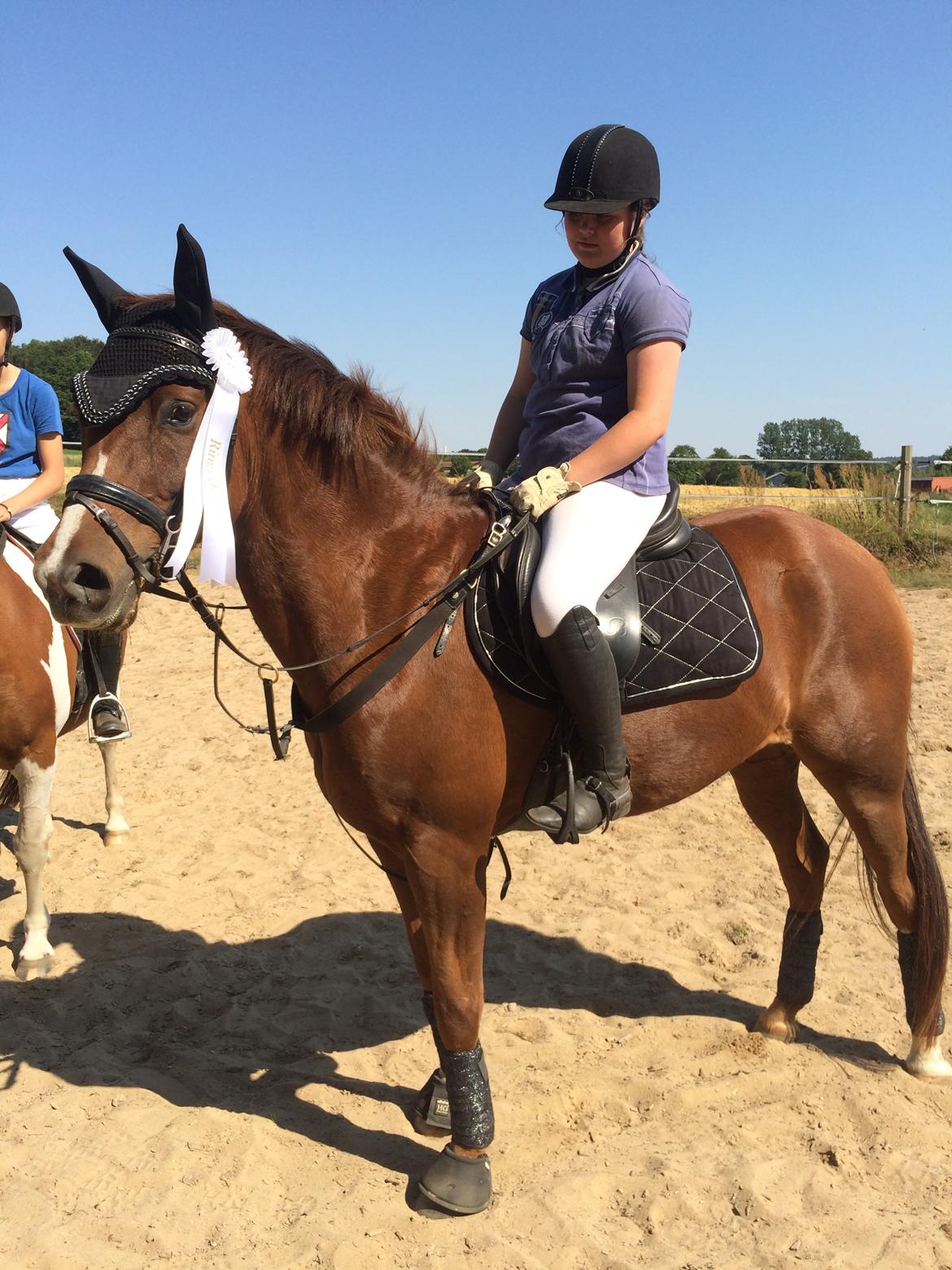 Anden særlig race Spirit billede 7