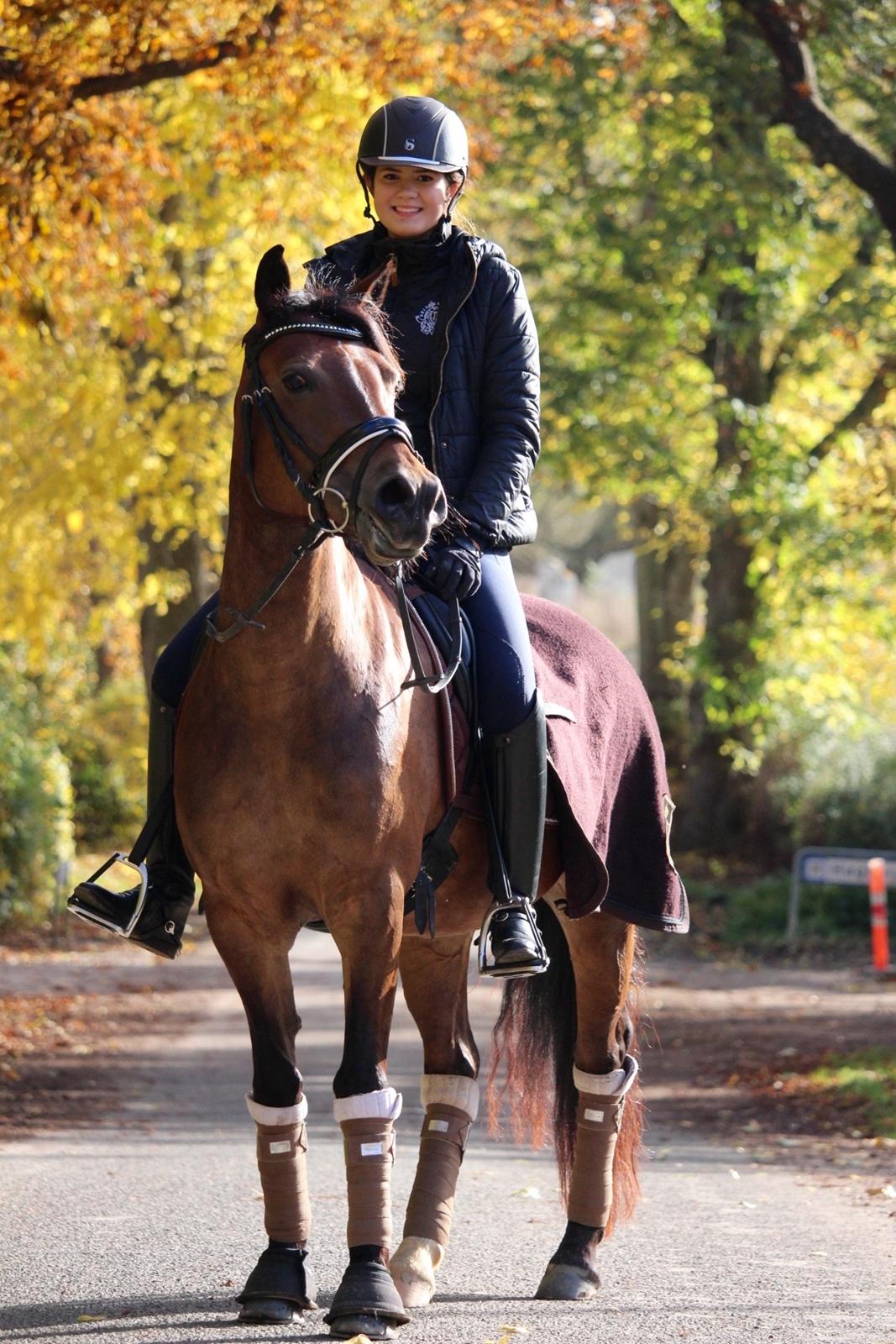 New Forest Kærgaardens Cayenne - <3 billede 5