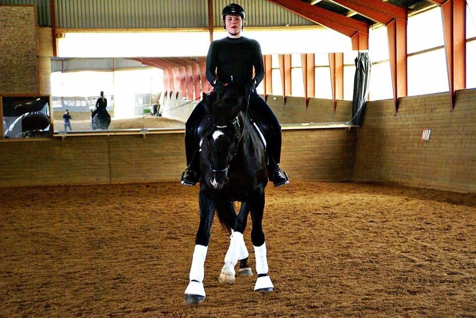 Oldenborg Black Diamond (solgt) billede 16