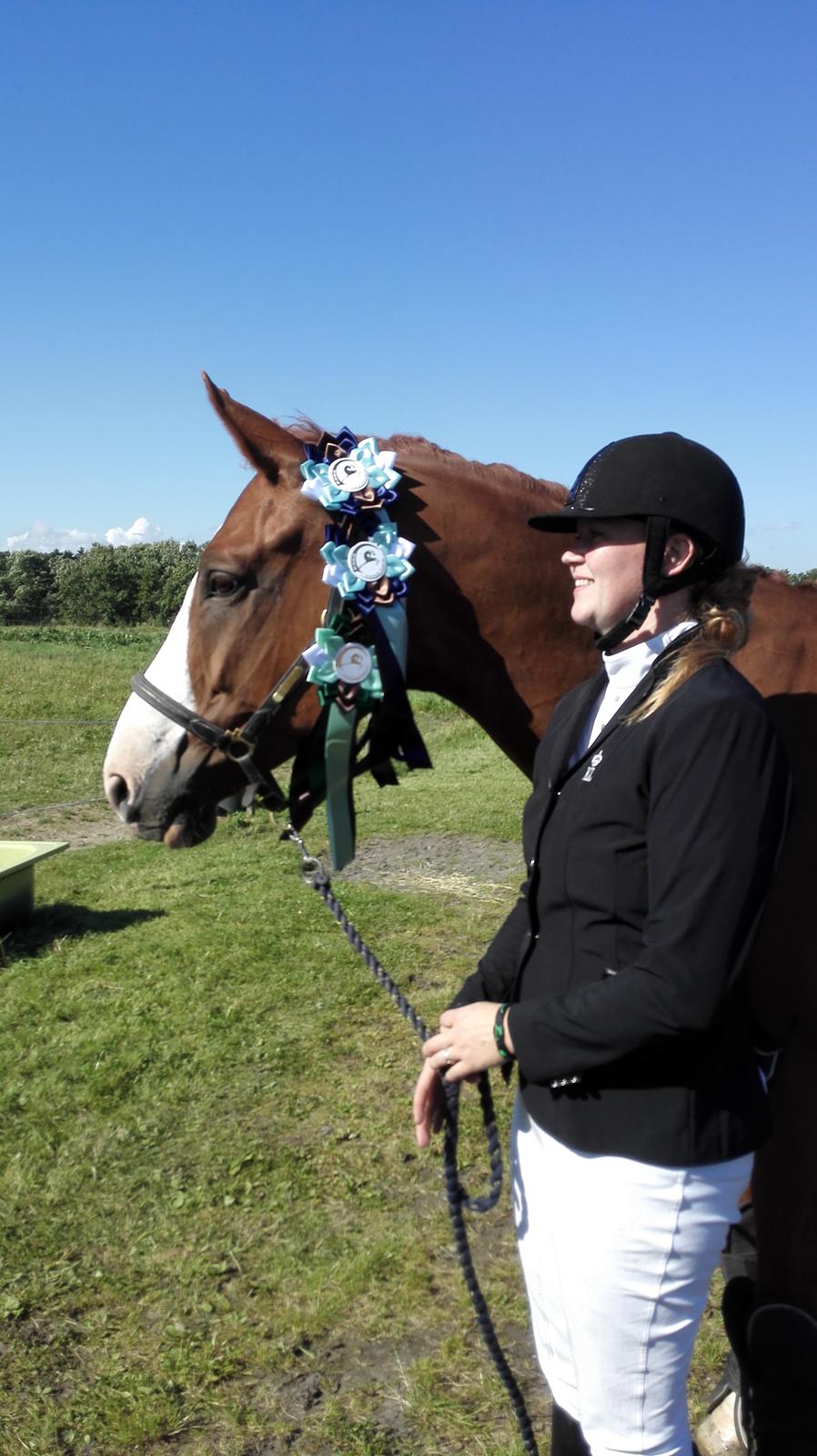 Trakehner Heywood af Lykkebo billede 9