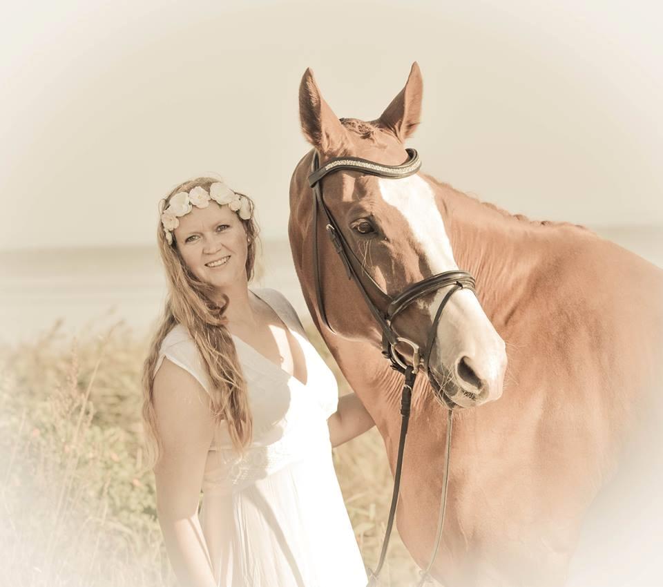 Trakehner Heywood af Lykkebo billede 5