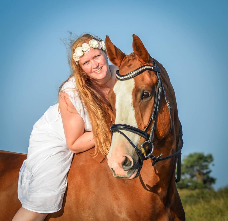 Trakehner Heywood af Lykkebo billede 6