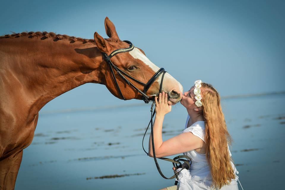 Trakehner Heywood af Lykkebo billede 7