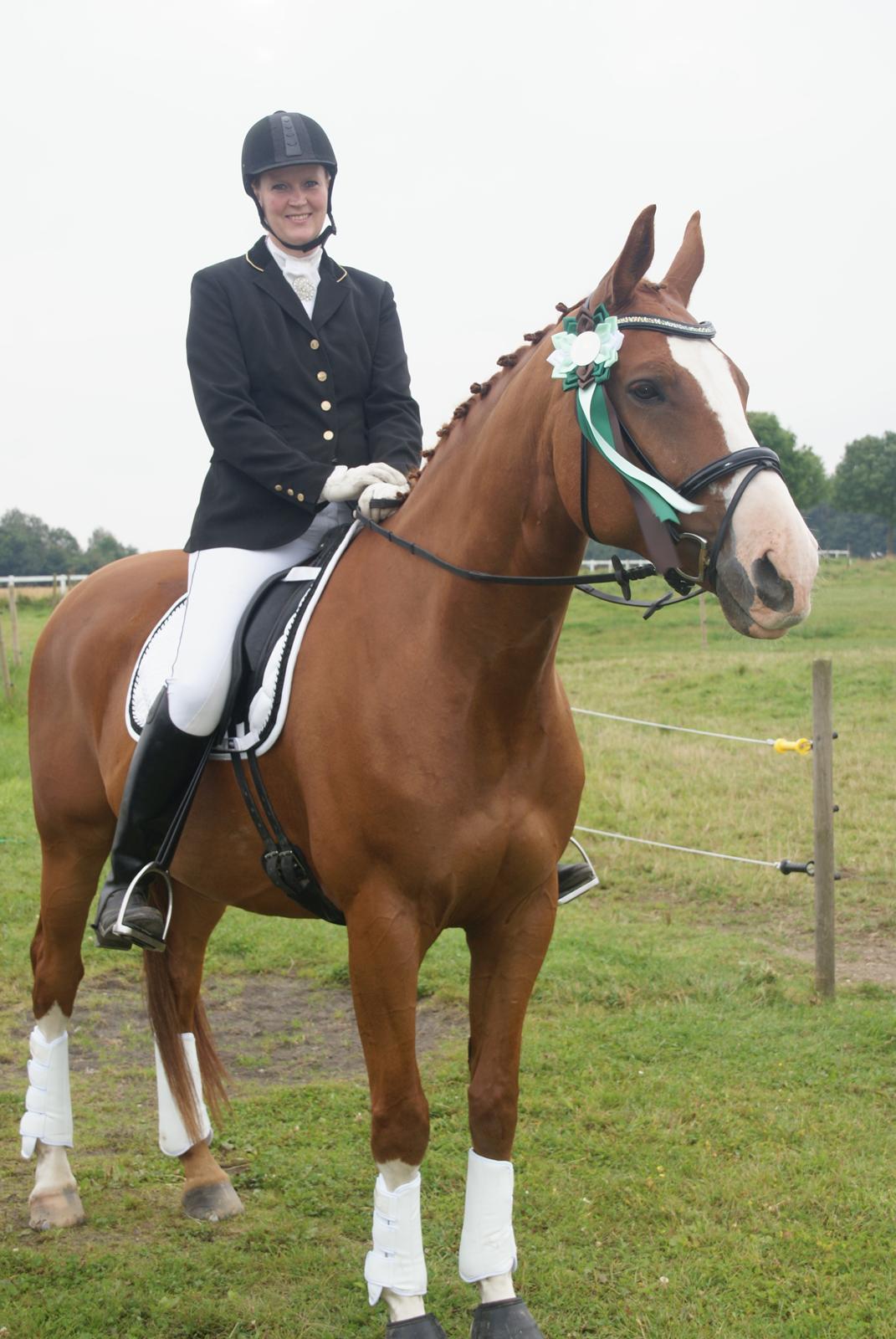 Trakehner Heywood af Lykkebo billede 20