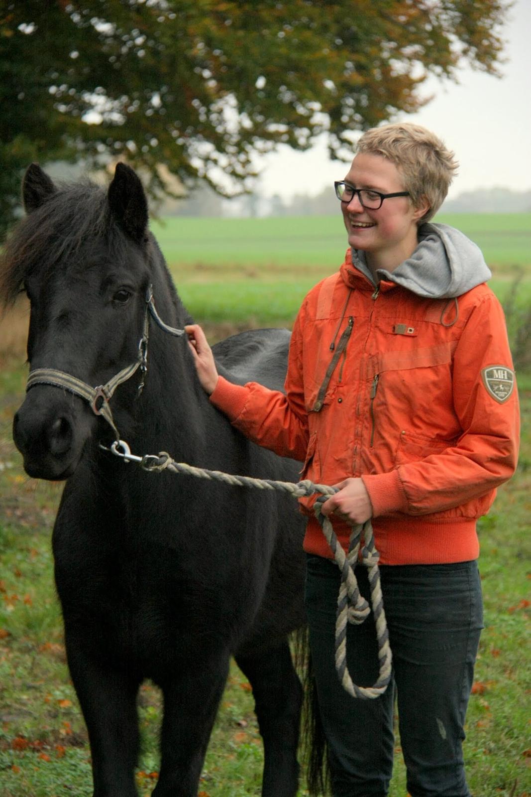 Islænder Flóra - På ridebanen for første gang i hendes nye hjem <3 Foto: AJM Foto 19.10.2016 billede 18