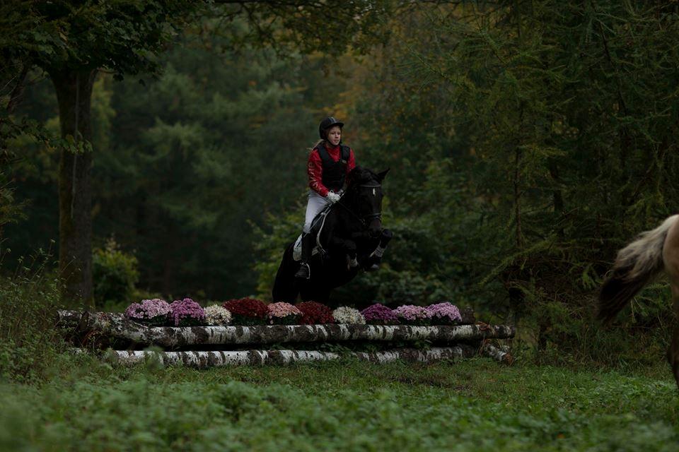 New Forest Elmholts Desiré - 16. oktober 2016 hubertusjagt billede 19