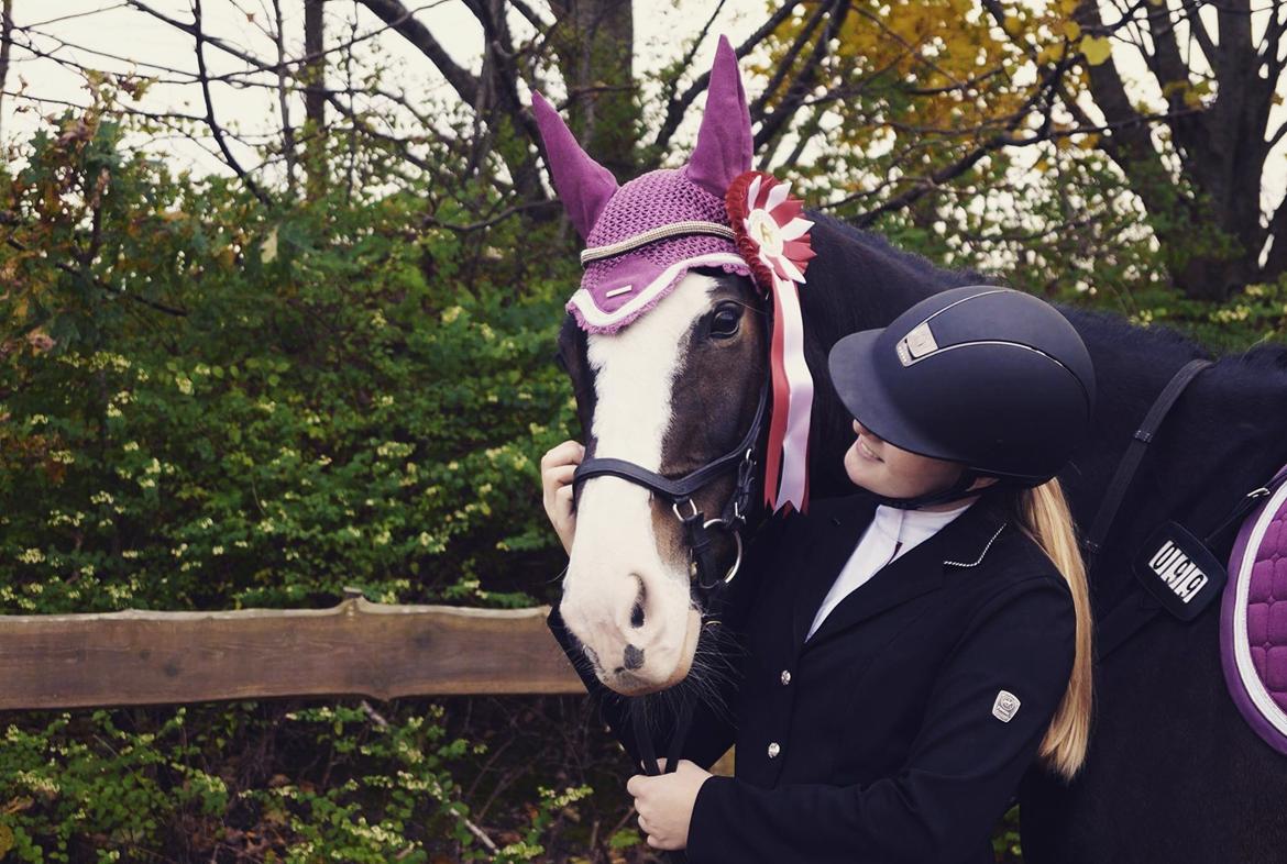 Hollandsk Varmblod Zarona R.I.P  - Vores første 1 Plads, efter kun lidt over 3 måneder sammen <3  billede 2