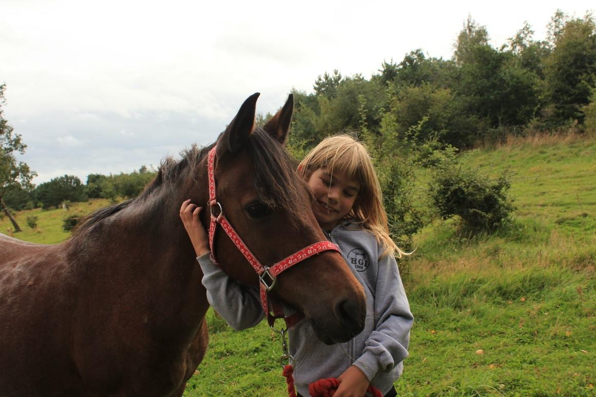 Anden særlig race Miss Charisma  billede 8