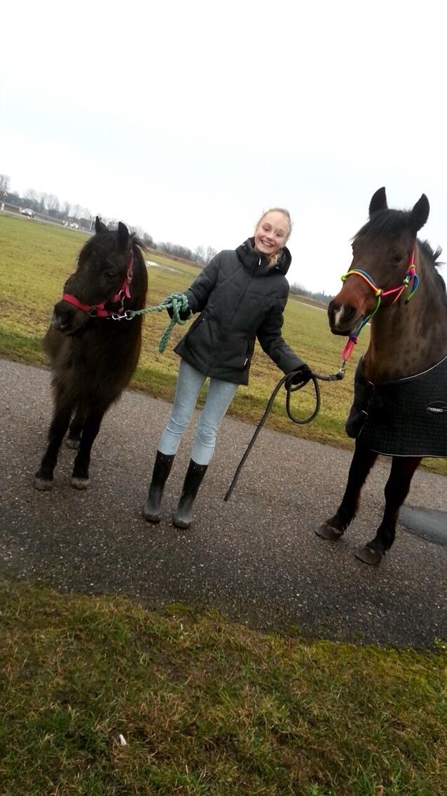 Anden særlig race Engtoft mille (RIP) billede 12