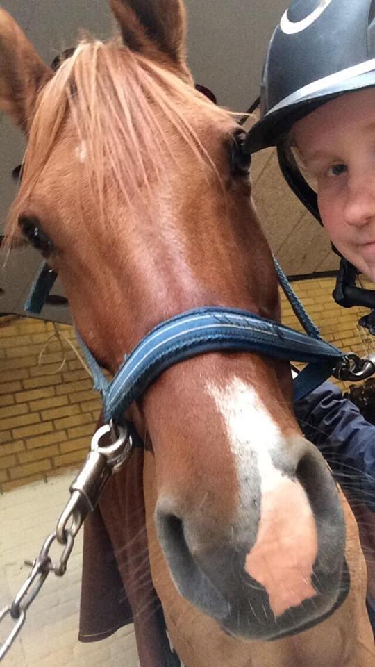 DSP Malu (solgt) - Elsker ham<3 billede 7