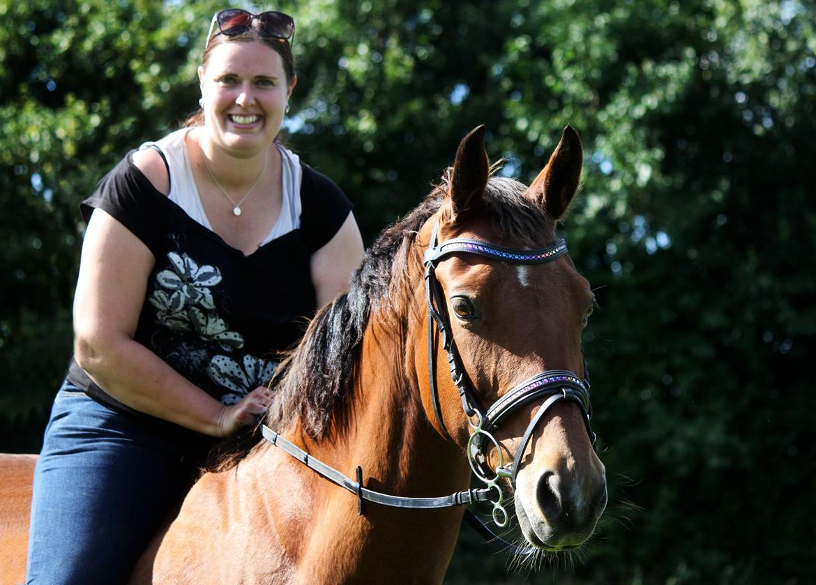 Dansk Varmblod Ørstedslunds Lucky Lady billede 14