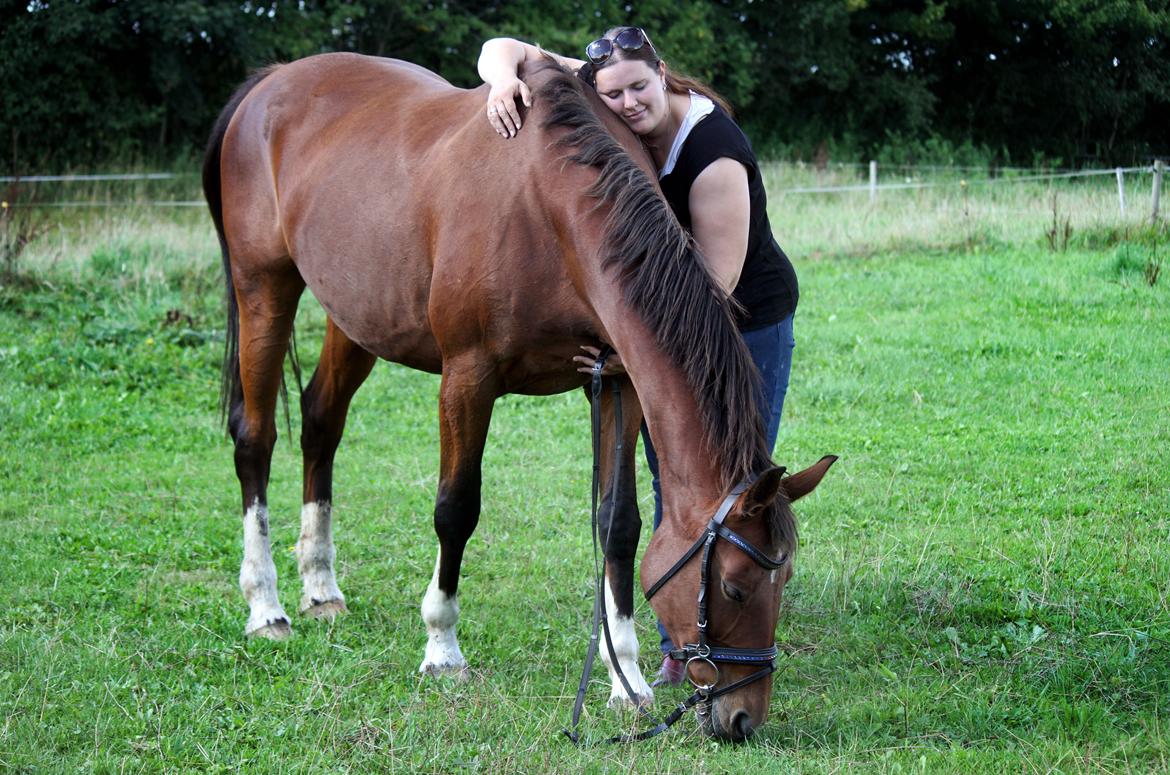 Dansk Varmblod Ørstedslunds Lucky Lady billede 31