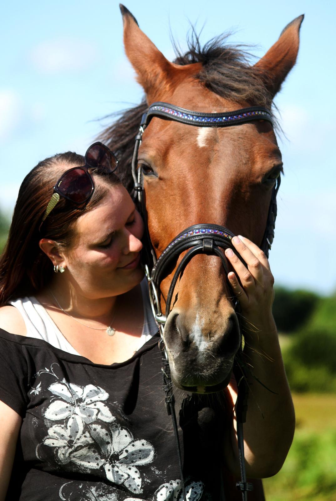 Dansk Varmblod Ørstedslunds Lucky Lady billede 16