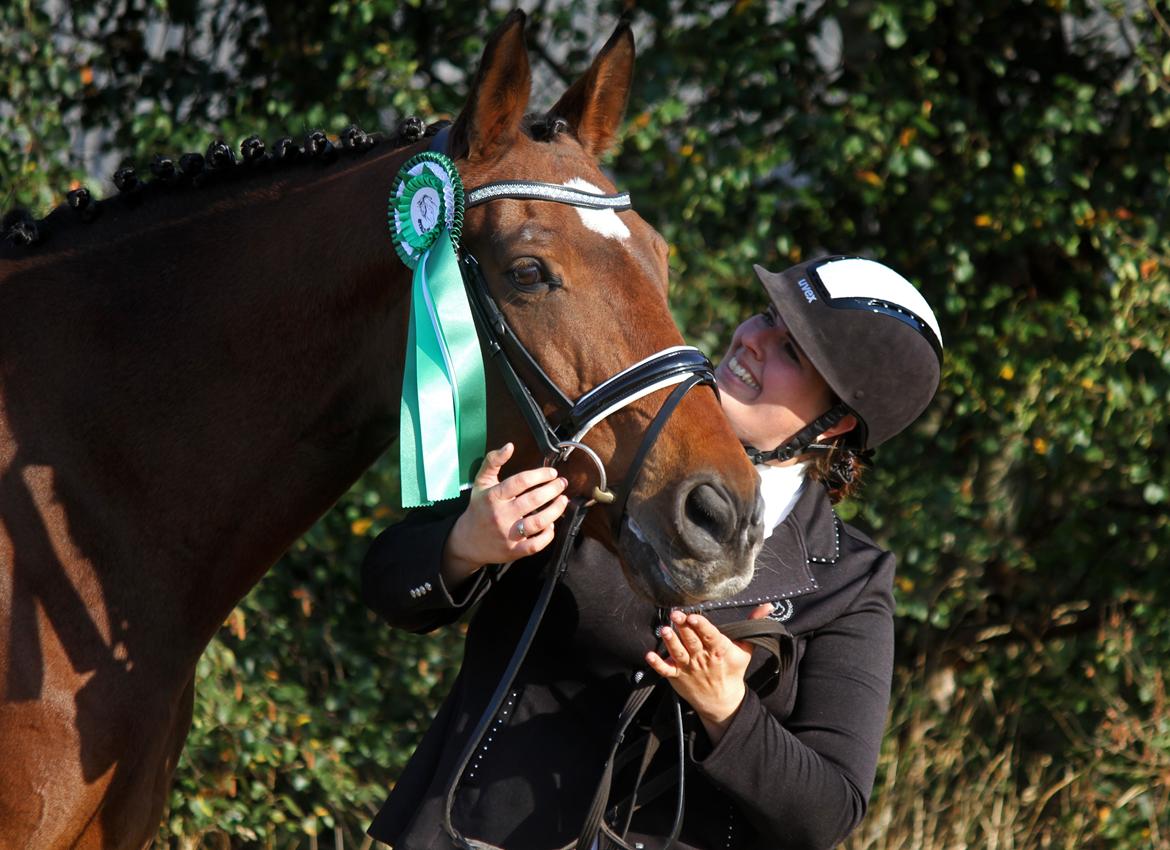 Anden særlig race Dalvangs Casper - 3.plads ud af 12 til dressur stævne :) billede 26