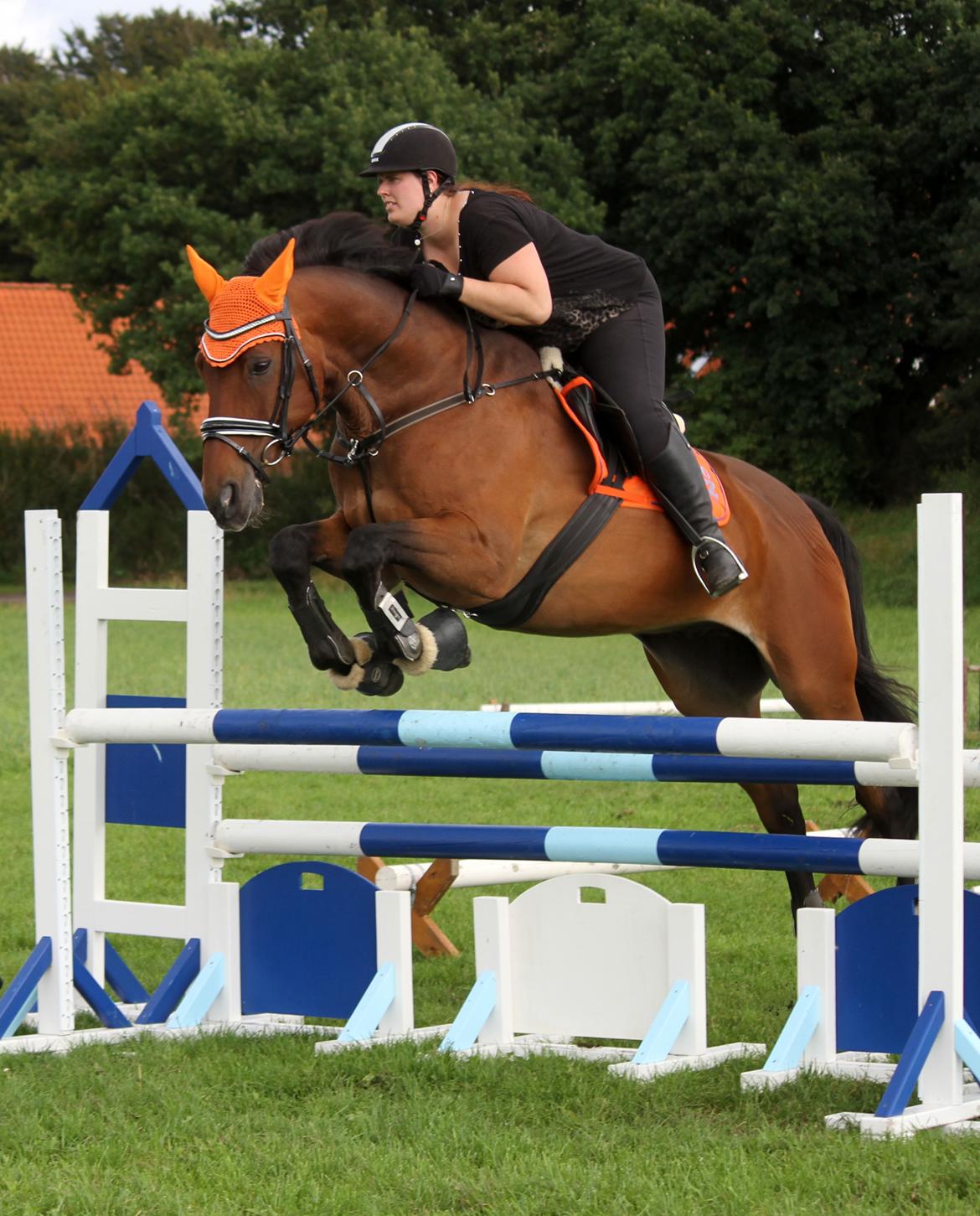Anden særlig race Dalvangs Casper - Så fedt at komme ordenlig i gang igen <3 billede 25