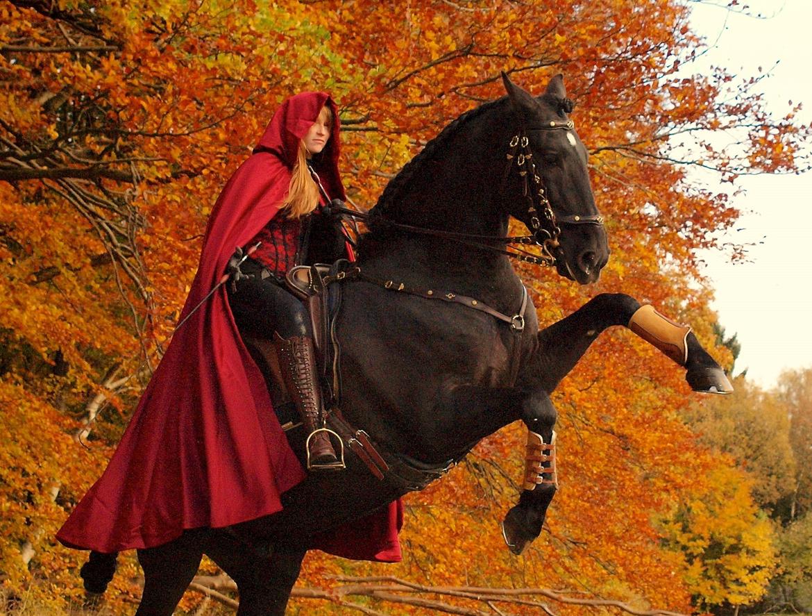 Pura Raza Española Divino XXXVIII billede 47