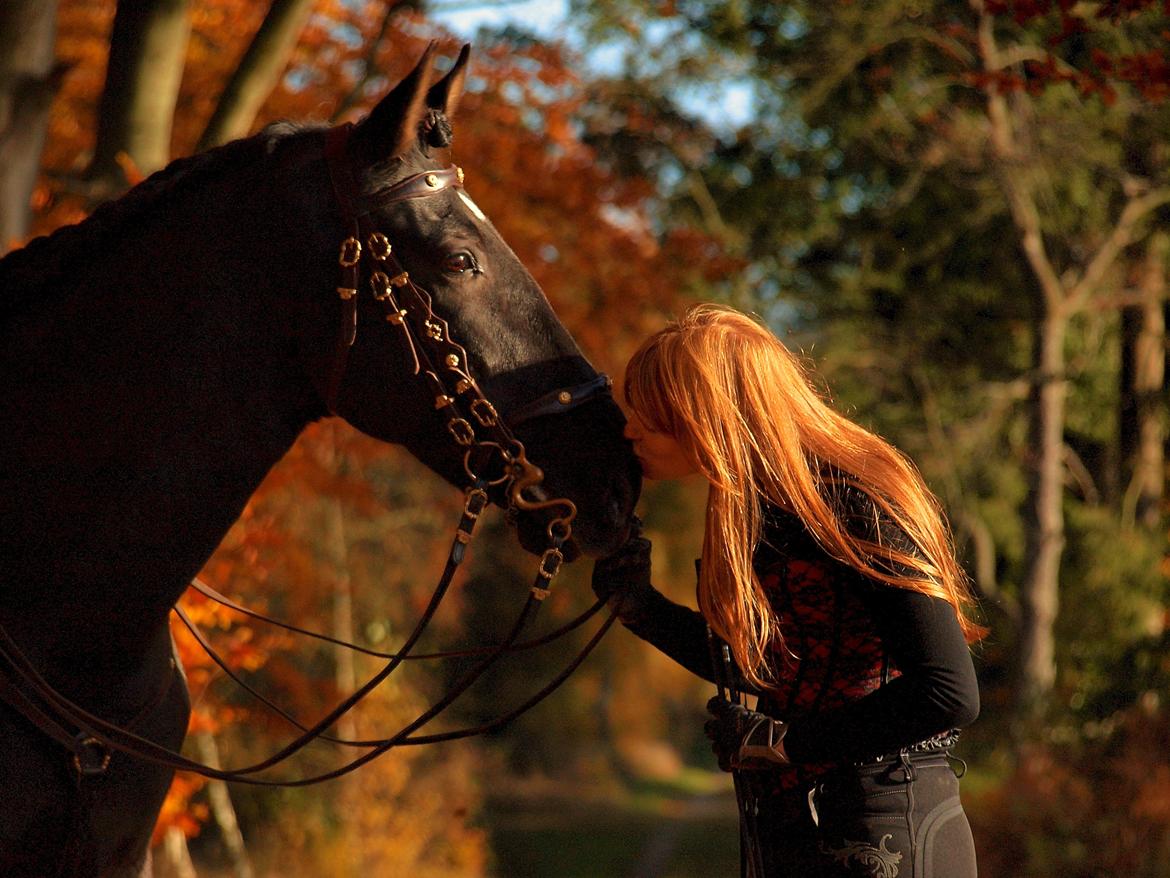 Pura Raza Española Divino XXXVIII billede 49