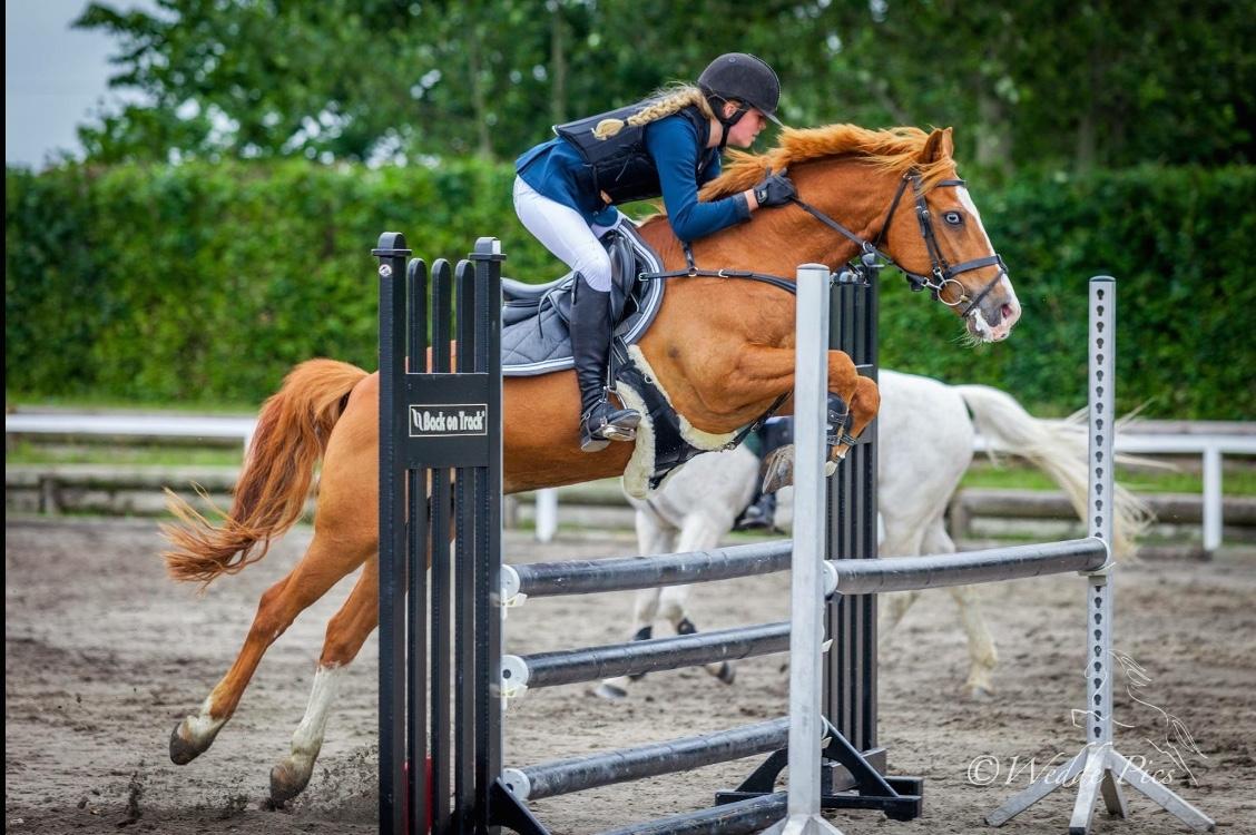 Anden særlig race Armarni - Kongsdal Rideklub - LA* billede 12