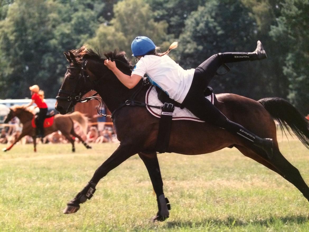 Anden særlig race Jumper  billede 14