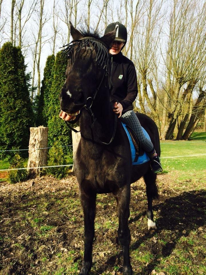 Traver Hjalte M billede 15