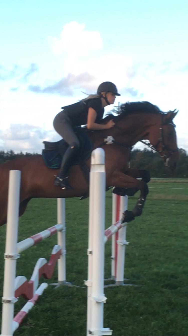 Holstener Søndervangs comet billede 15