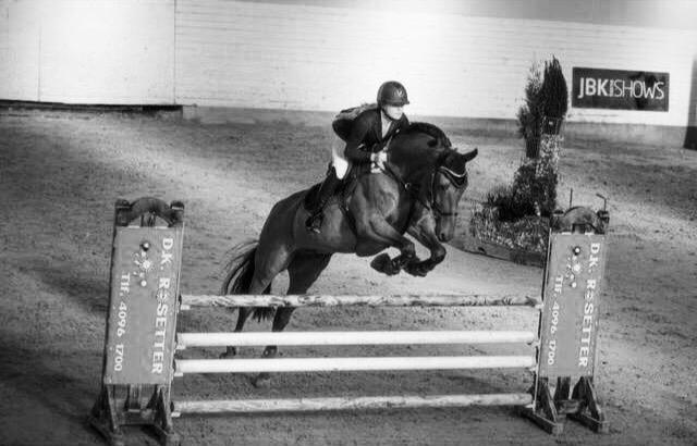 Holstener Søndervangs comet - Flyvende over Dk rosetter i Fredericia  billede 20