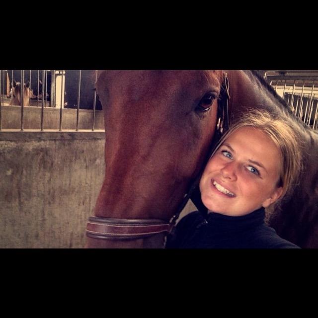 Holstener Søndervangs comet billede 14