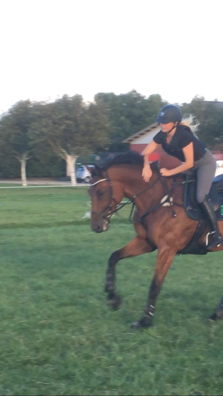 Holstener Søndervangs comet billede 16