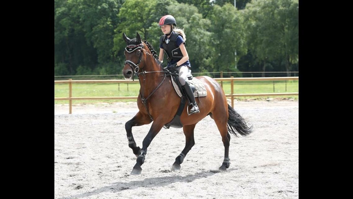 Connemara Ballycullen lass billede 7