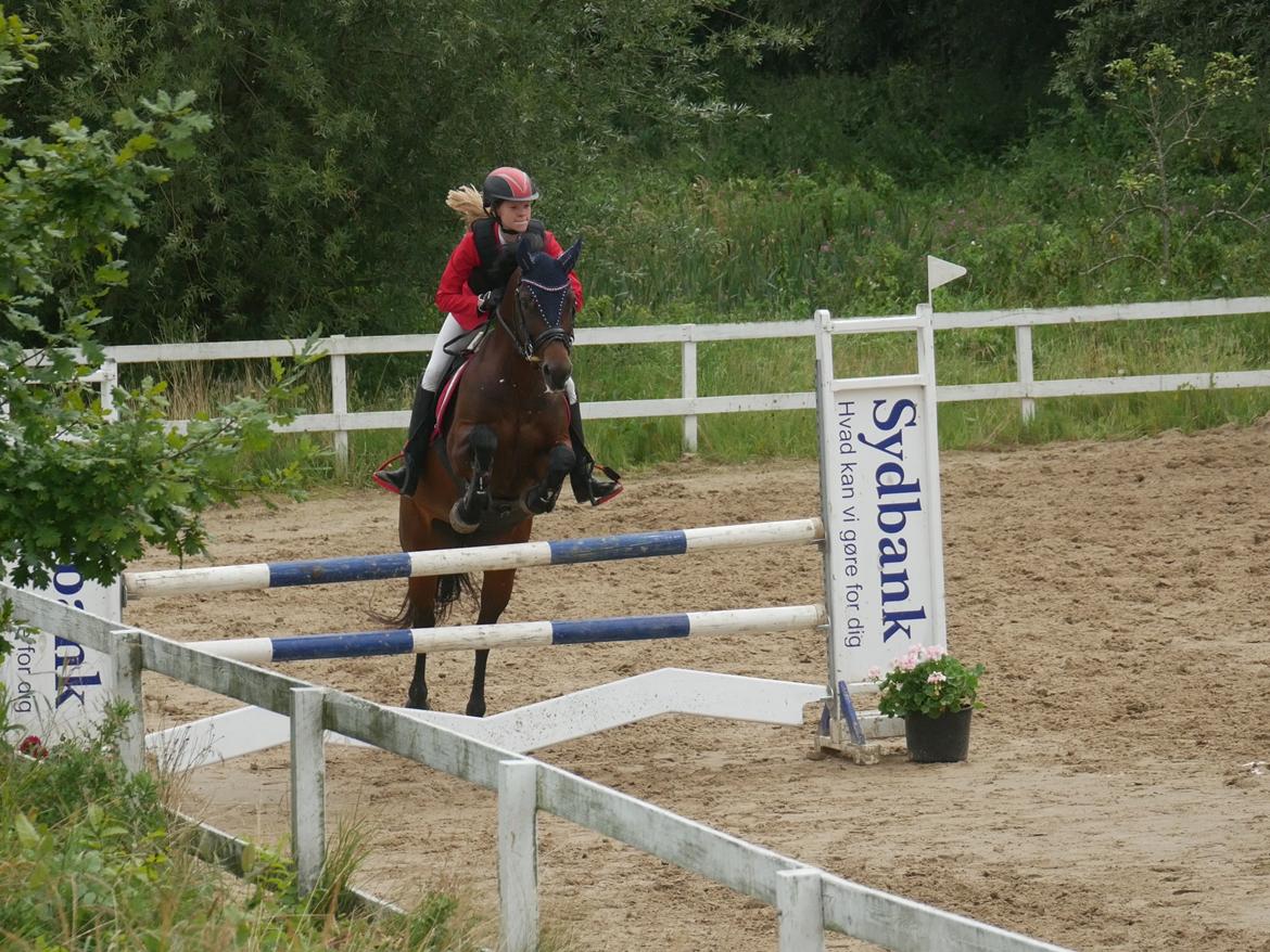 Connemara Ballycullen lass billede 8