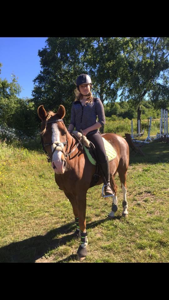 Anden særlig race Kastaniebakkens Garonjo  billede 2