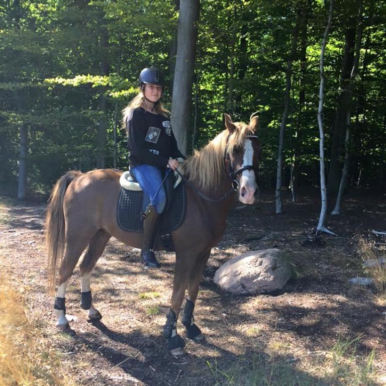 Anden særlig race Kastaniebakkens Garonjo  billede 13