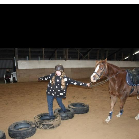 Anden særlig race Kastaniebakkens Garonjo  billede 8