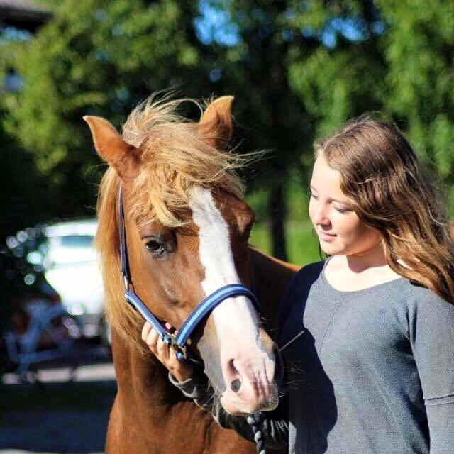Anden særlig race Kastaniebakkens Garonjo  billede 14